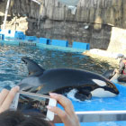 ゴールデンウィークに名古屋港水族館デートしてシャチとかイルカとかペンギンとか見たから報告ですっ!!　GW7